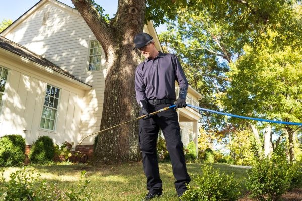 Task Force Pest Control technician treating yard